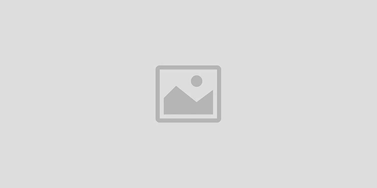 Uso de Própolis Vermelha no tratamento de feridas: resultados promissores no HGE